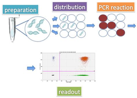 dpcr meaning|Fundamentals of digital PCR .